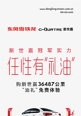 冠軍實力