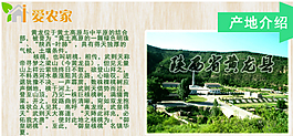 核桃詳情圖圖片