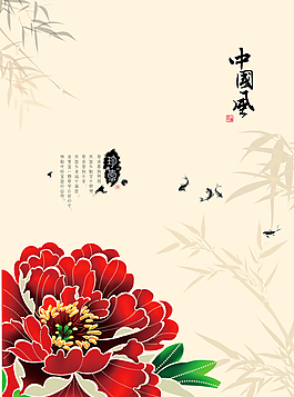 牡丹花開圖片