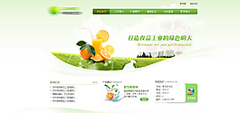 綠色清新食品網(wǎng)站模板PSD分層圖片