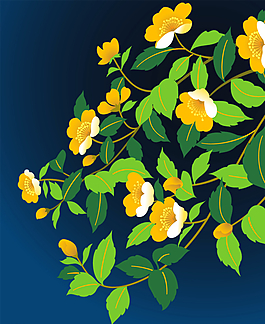 數(shù)碼印花圖片