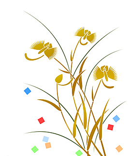 數(shù)碼印花圖片