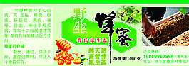 綠色養(yǎng)蜂圖片