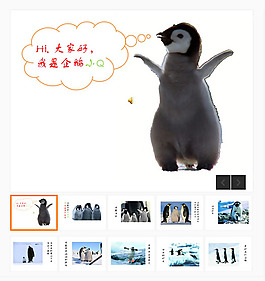 企鹅心声PPT模板
