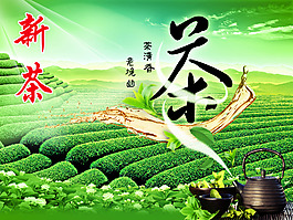 綠茶茶葉