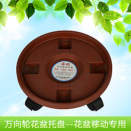 托盤主圖