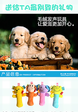 宠物玩具