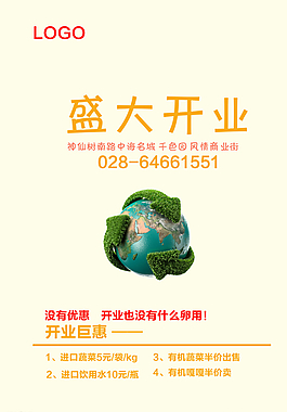 盛大開(kāi)業(yè)DM單頁(yè)圖片