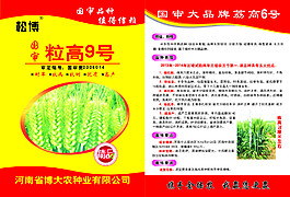 小麥產品