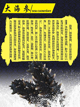 海参简介淘宝详情页