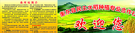 水稻 种植 合作社 简介图片