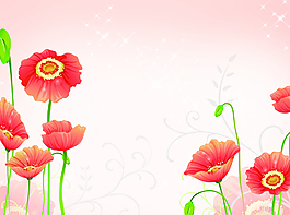 唯美花朵圖片