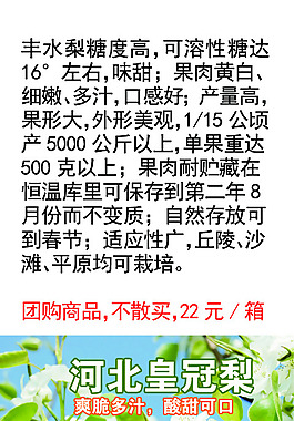 丰水梨