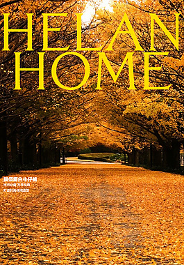 牛仔褲詳情頁模板
