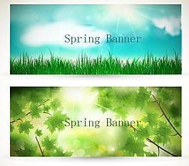 綠色植物banner