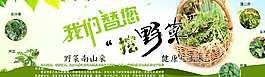我們替您挖野菜圖片