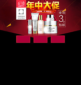 年中大促