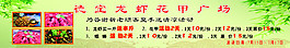 龍蝦廣場(chǎng)
