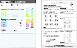 人體成分分析報(bào)告