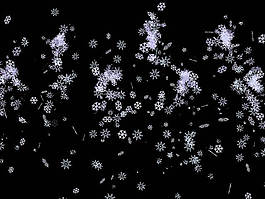 飛雪特效