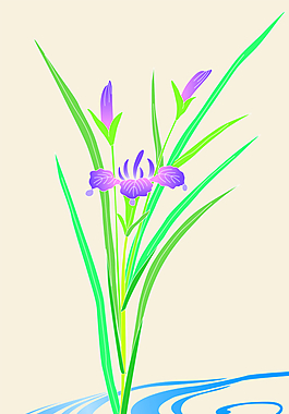 數(shù)碼印花圖片
