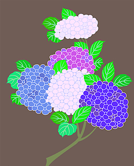 数码印花图片