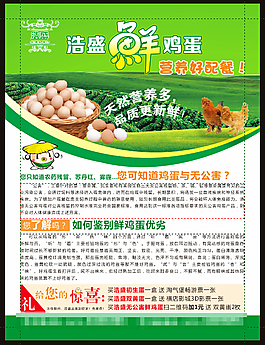 雞蛋宣傳單