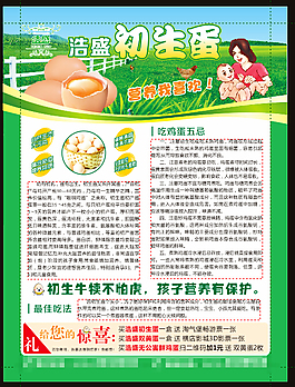 雞蛋 宣傳單 cdr