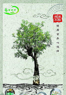 辣木树展架