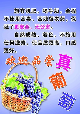 葡萄