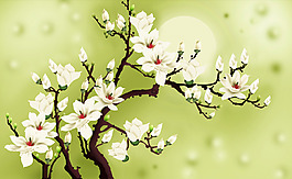 玉蘭花背景墻