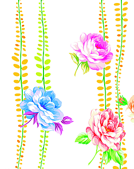 牡丹花圖片