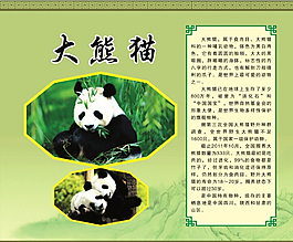 大熊貓簡介展板圖片