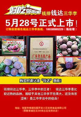 三華李好吃你不來推廣