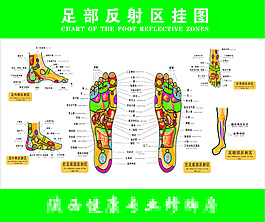 足部反射區(qū)穴位