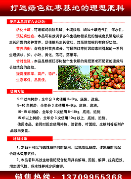 復(fù)合肥   紅棗圖片
