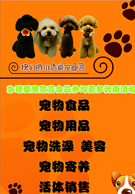 宠物店广告图片