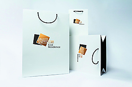 原創(chuàng)logo應用手袋