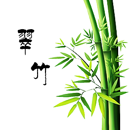 竹子psd素材