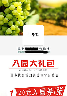 葡萄园X展架