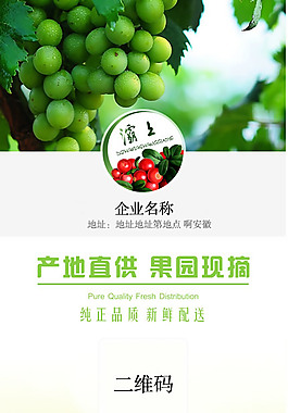 葡萄园X展架