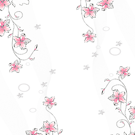 星星花圖片