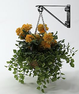 花草圖片