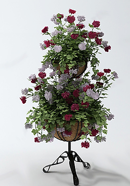 花架圖片