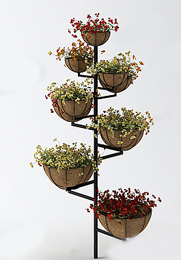 花架圖片