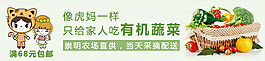 有机蔬菜banner