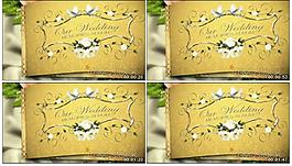 橙色畫面視頻素材