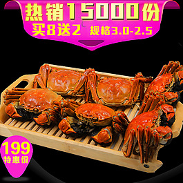 大閘蟹淘寶天貓搶眼主圖熱銷高清PSD素材