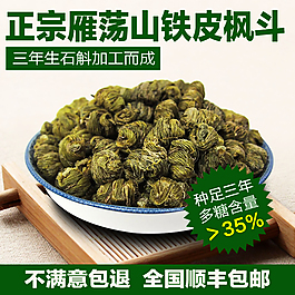 鐵皮楓斗