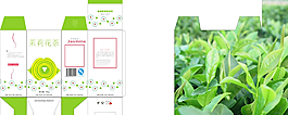 茉莉花茶圖片